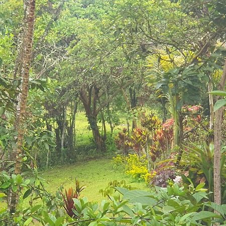 Eco Hotel Manu Viajeros San Agustín Kültér fotó