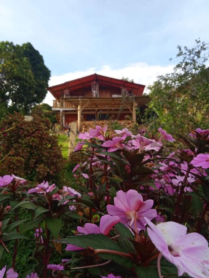 Eco Hotel Manu Viajeros San Agustín Kültér fotó