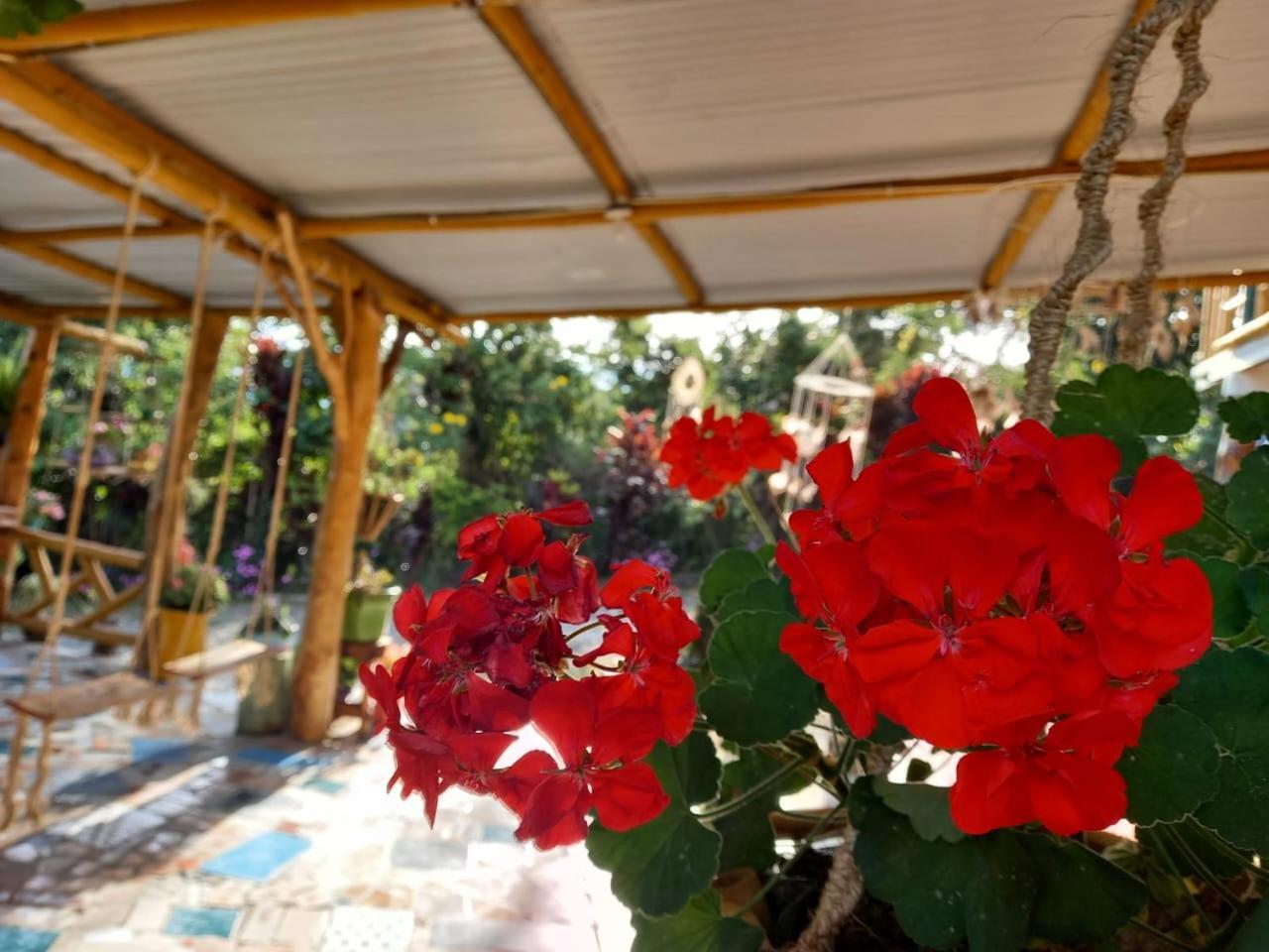 Eco Hotel Manu Viajeros San Agustín Kültér fotó