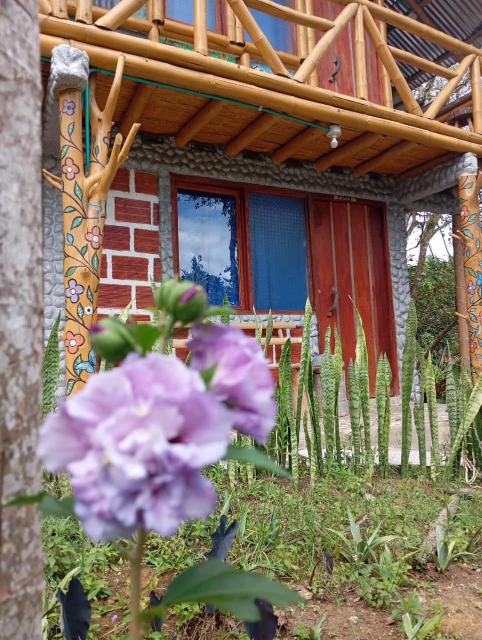 Eco Hotel Manu Viajeros San Agustín Kültér fotó
