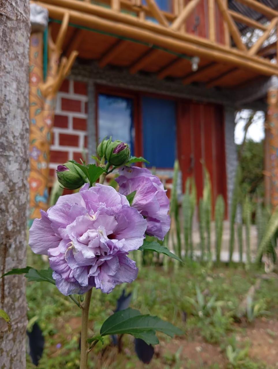Eco Hotel Manu Viajeros San Agustín Kültér fotó