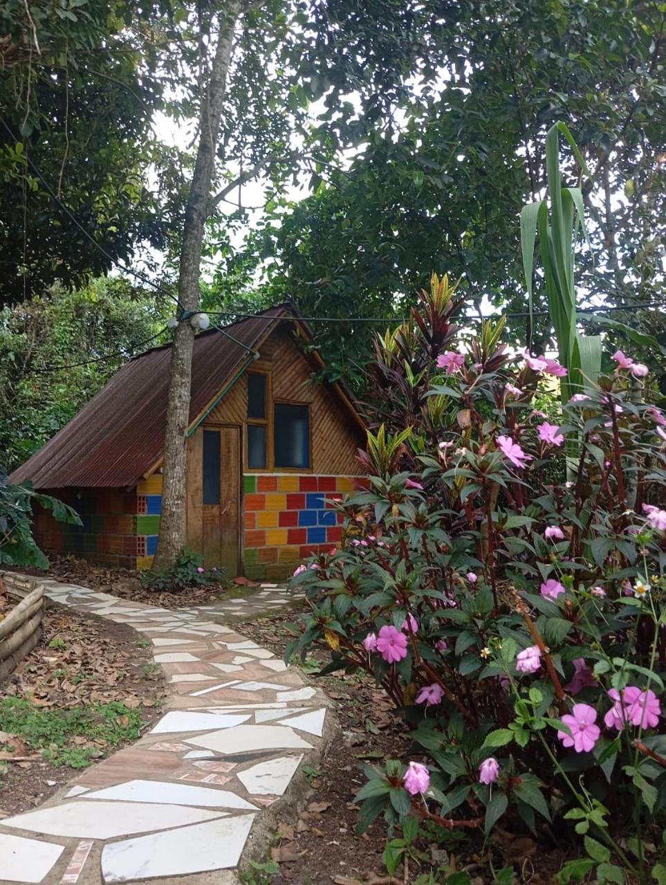 Eco Hotel Manu Viajeros San Agustín Kültér fotó