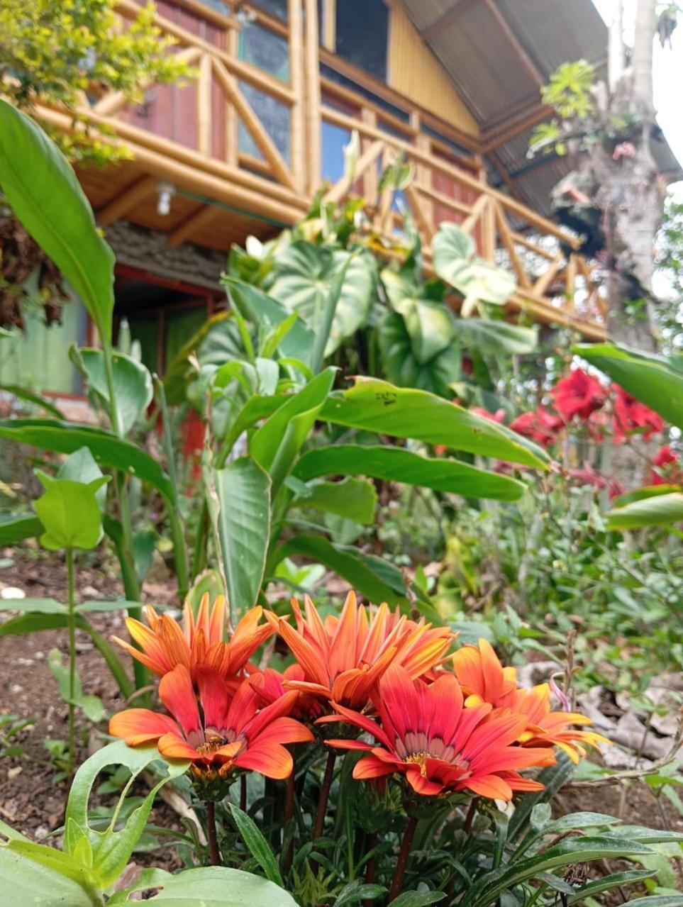 Eco Hotel Manu Viajeros San Agustín Kültér fotó
