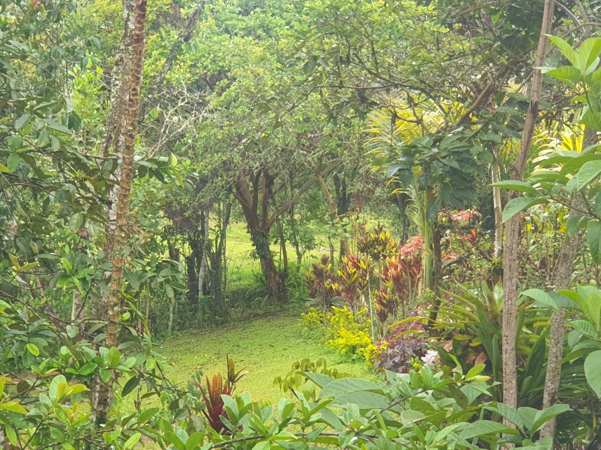 Eco Hotel Manu Viajeros San Agustín Kültér fotó